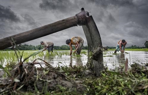 印度农民大规模抗议，到底是谁在剥削印度农民？