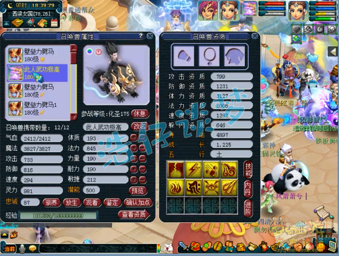 梦幻西游：钓鱼岛服战女儿展示，全身3件封印装备，5只神马童子