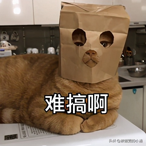 梦幻西游：“经验丰富又多金”的它，大佬们不可错过