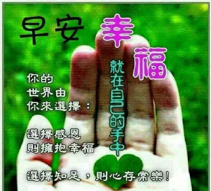 早晨让人开心的暖心话,让人一看就赞的早安说说