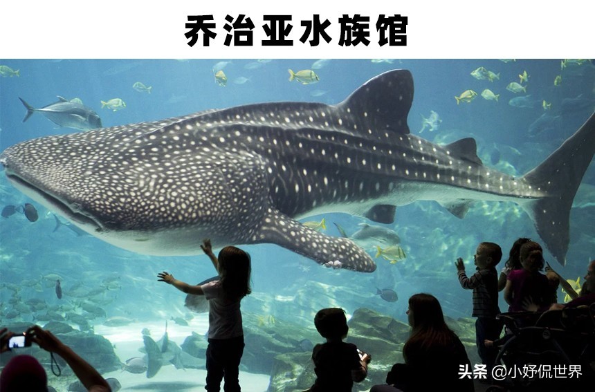 世界上存在着的11个巨大而神奇的水族馆