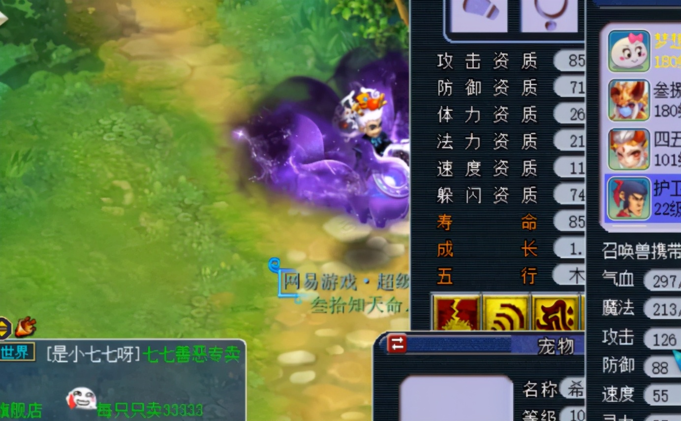 梦幻西游：玩家秀个性宠，叫嚣着难以被超越的护卫是怎么样子？