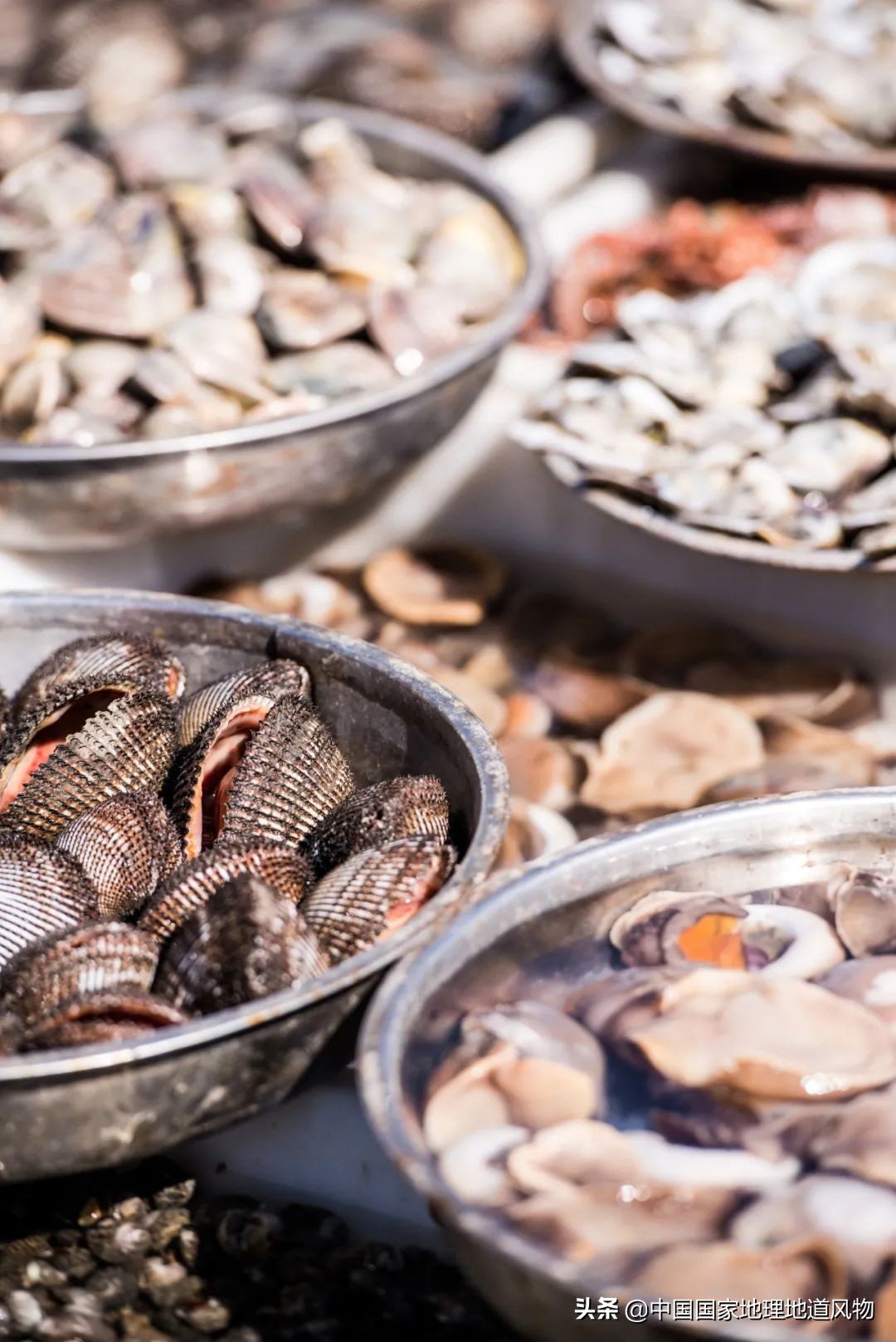 大连，为什么满满的“山东范儿”？