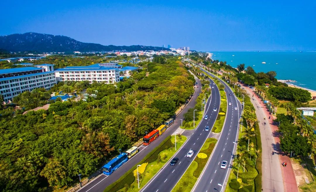 浪漫环岛路,厦门人现在流行这个新玩法