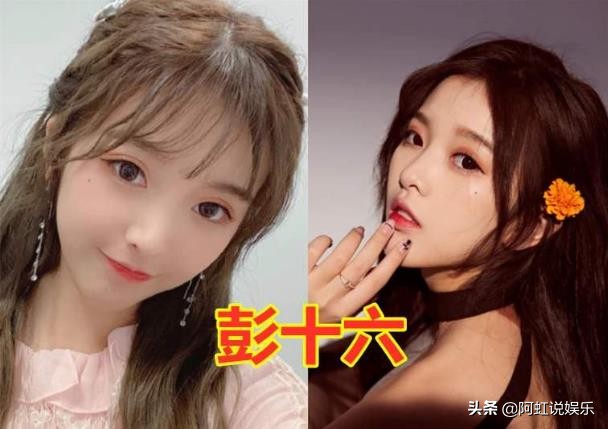 彭十六上过快本吗,彭渲之真名及个人资料