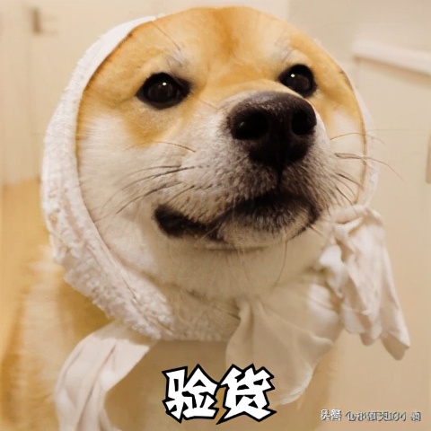 梦幻西游：大佬们，“小潘的周末工作汇报”请查收