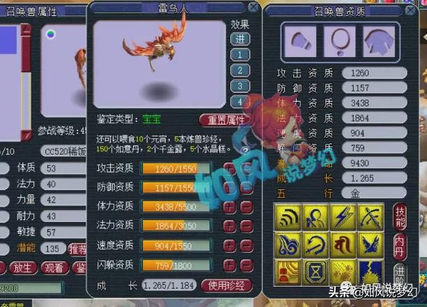 梦幻西游：梧桐给14技净台雷鸟打神马，5000万元的69团队巅峰对决
