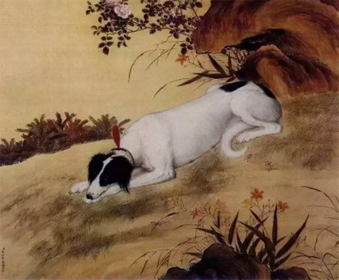 狗、狗肉、狂犬病与人类