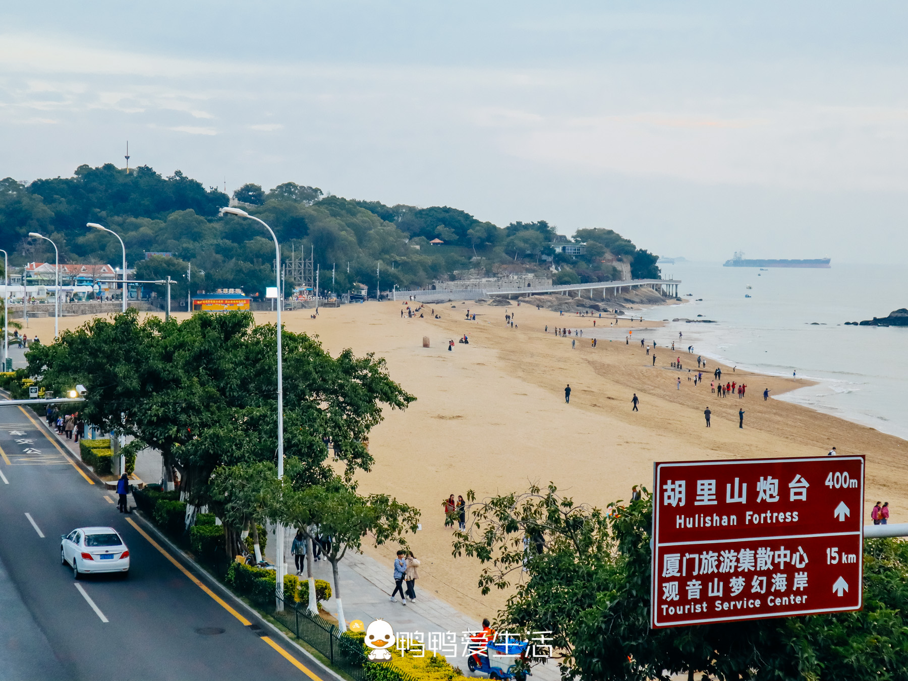 厦门景点大全带娃来厦门玩这四个免费景点不容错过好玩又有趣