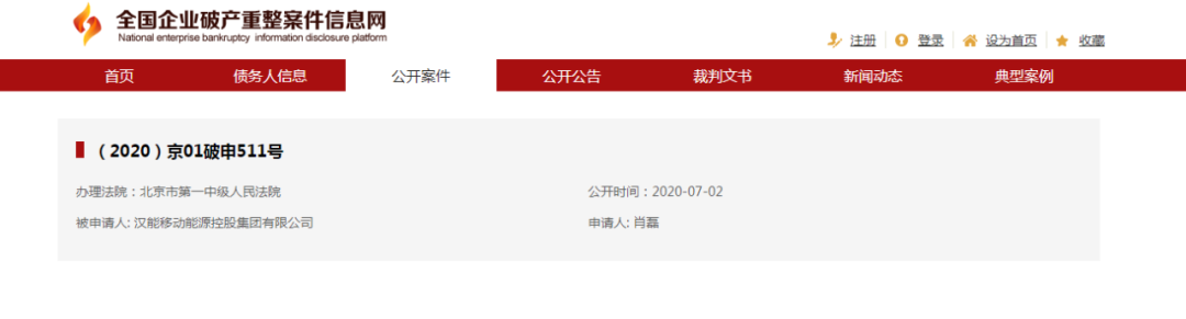“坠落”的中国首富：拉着政府、银行“豪赌”梦想
