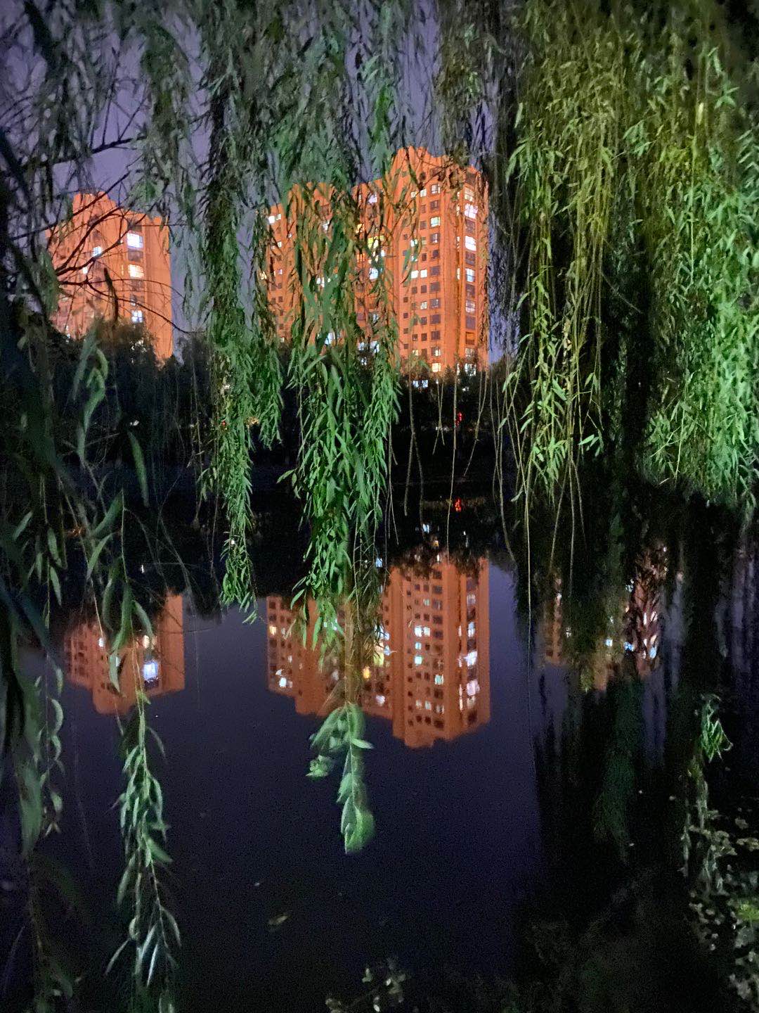 男子被查酒驾意外落水身亡，落水7秒交警见死不救