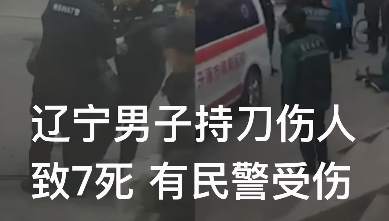 辽宁开原持刀伤人案原因细节曝光辽宁开原持刀伤人案7死7伤辽宁开原