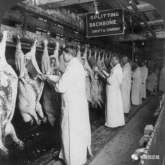 扒皮美国巨头！