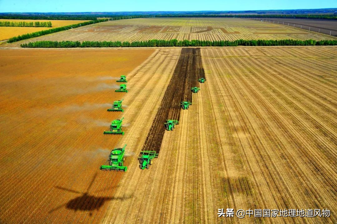 山东、河南、江苏、黑龙江…谁才是中国第一粮仓？