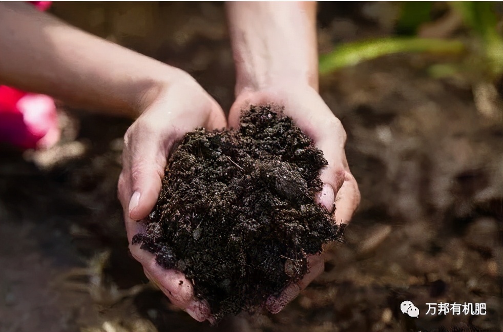 有机肥做基肥的5种施肥方法