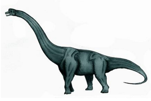 世界上最体彩7位数17081期
的恐龙是什么恐龙（史上最体彩7位数17081期
恐怖排行榜）