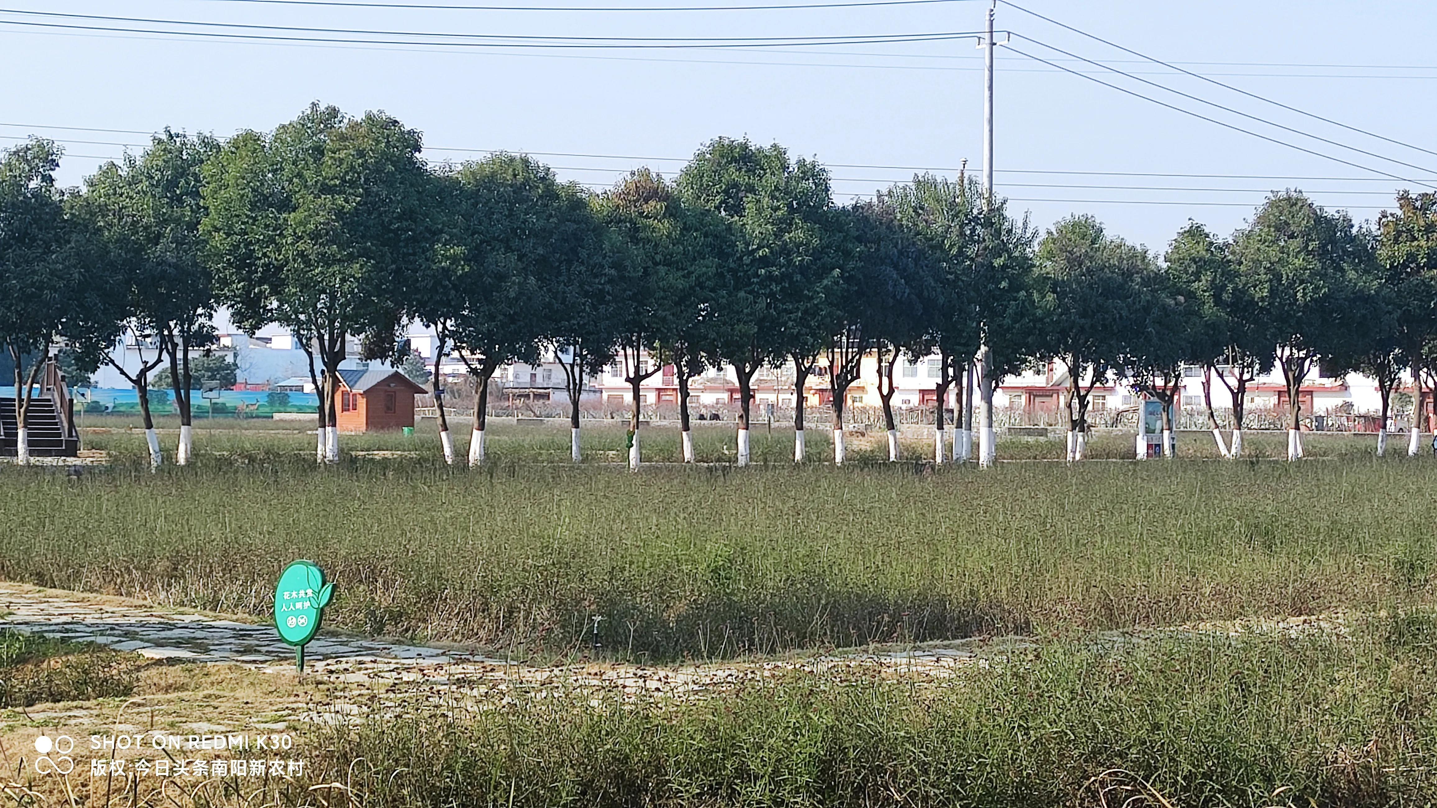 达士营探访冬日里的美丽乡村-南阳的后花园-达士营如今的达士营村