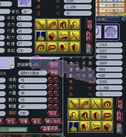 梦幻西游：新打成10技能观照谛听！刺激，阿海三只多技能净台打书
