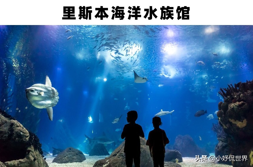 世界上存在着的11个巨大而神奇的水族馆