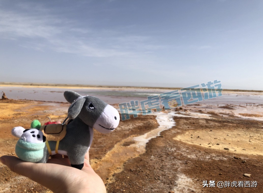 梦幻西游：小姐姐带小灰驴浪遍全国，抗癌玩家收到秋杀冠军奖牌