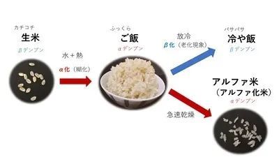 电饭锅煮饭半个多小时，自热米饭为什么15分钟就好？