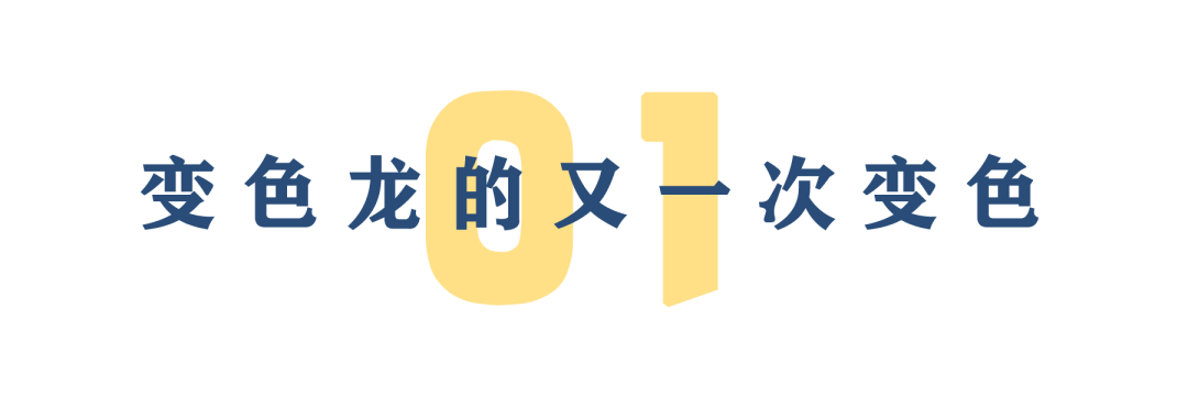 且看蓬佩奥这条变色龙如何变