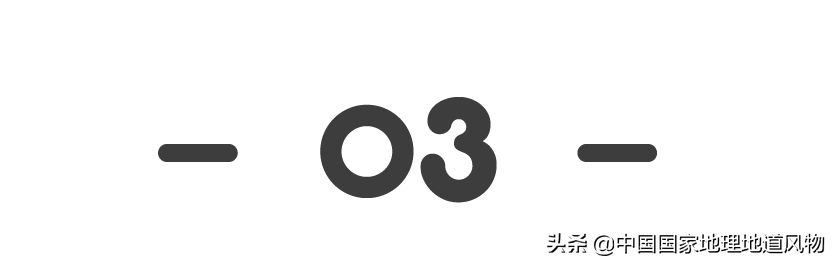 大连，为什么满满的“山东范儿”？
