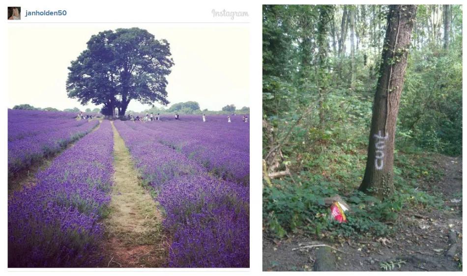 中产阶级入门新标准：假装在国外