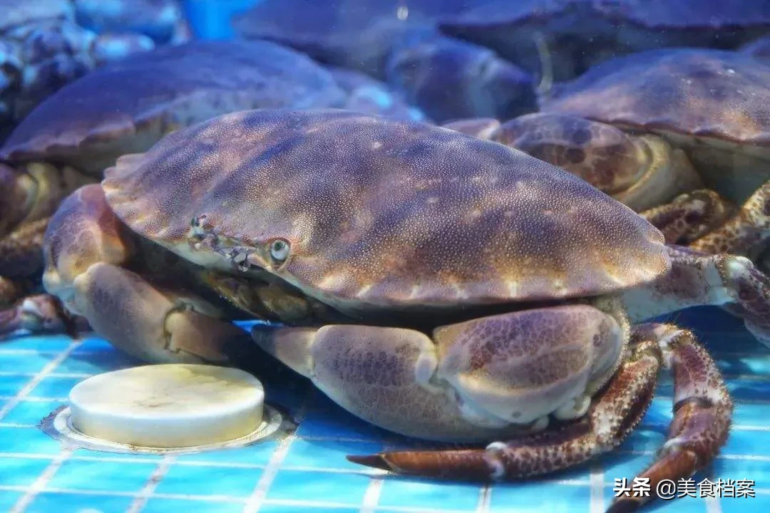 海蟹怎么做好吃又简单方便,哪种螃蟹最好吃
