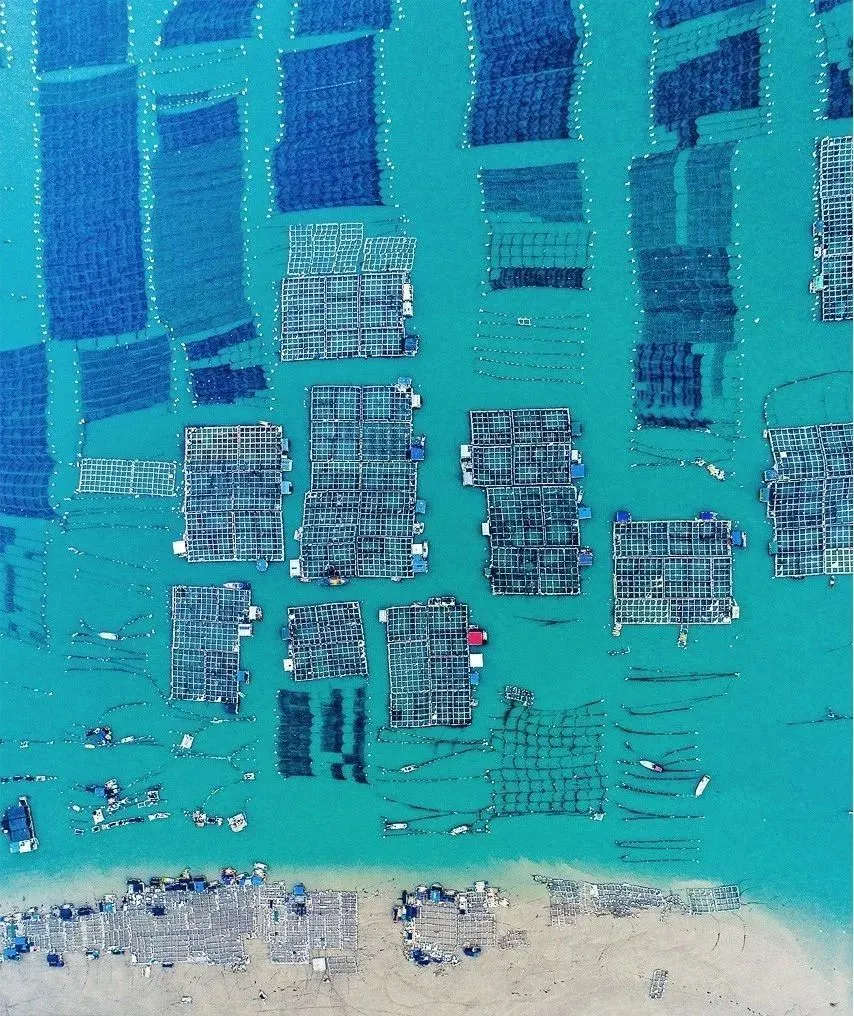 浙江,精良了中国