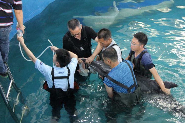 粤港澳大湾区：珠三角消失的城市边界