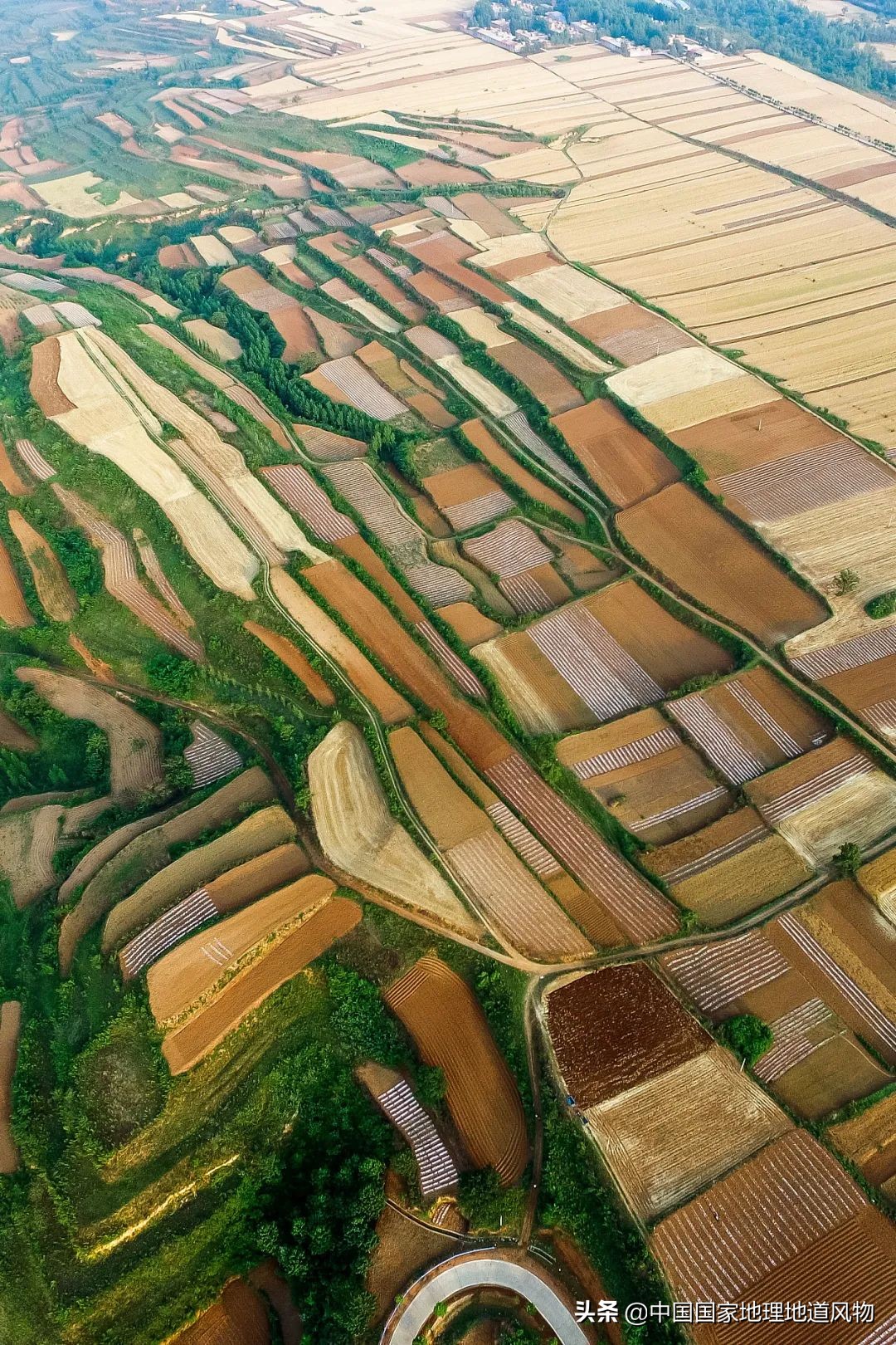 山东、河南、江苏、黑龙江…谁才是中国第一粮仓？