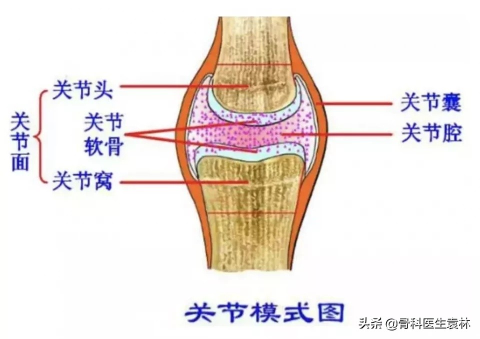 有了关节积液应该怎么办?关节损伤有积液怎么办?