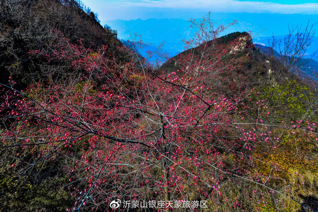 沂蒙山银座天蒙旅游区(天蒙山景区)官方网站