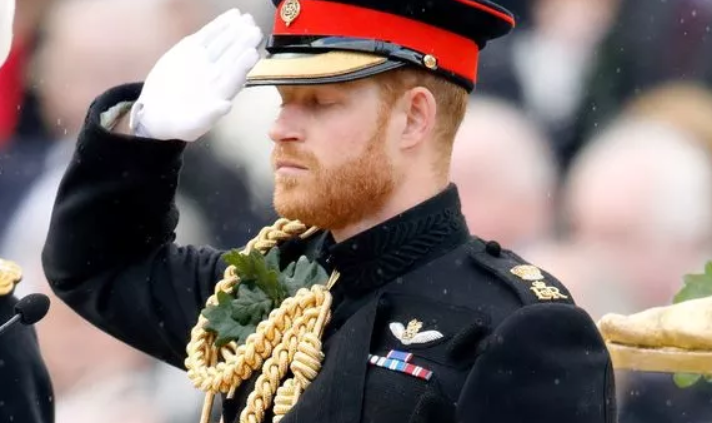 哈里恳求女王明年能把职务还给他 威廉：别做梦了