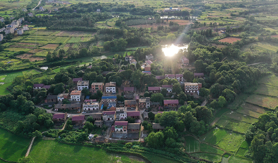 张玉环案背后：一个村庄的26年