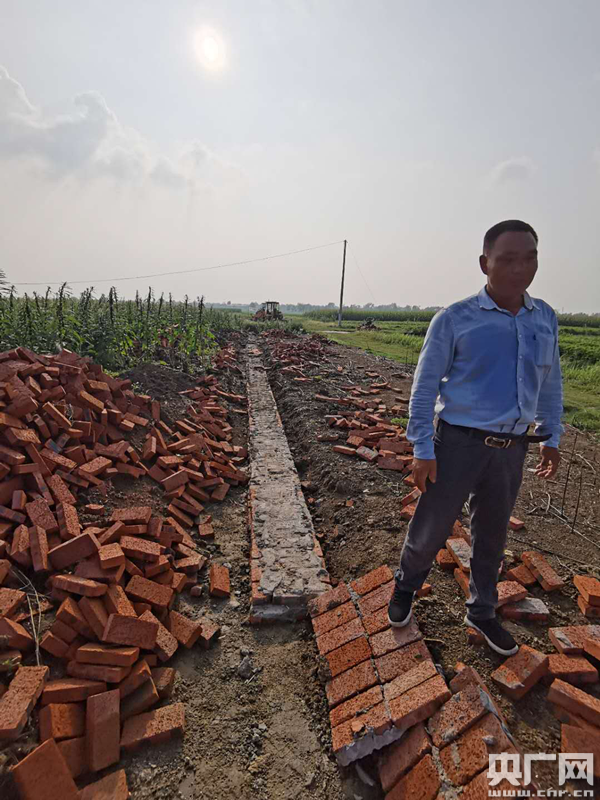 占万亩基本农田建养猪场 岂能如此"拆东墙补西墙"