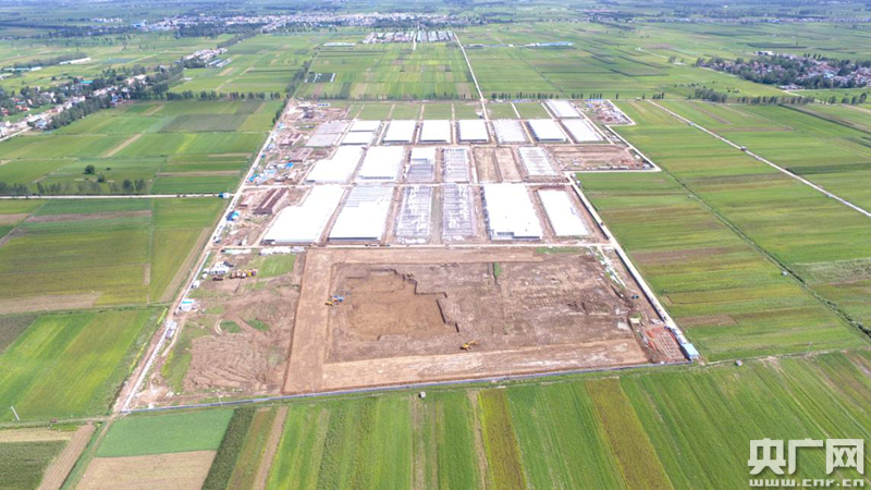 占万亩基本农田建养猪场 岂能如此"拆东墙补西墙"