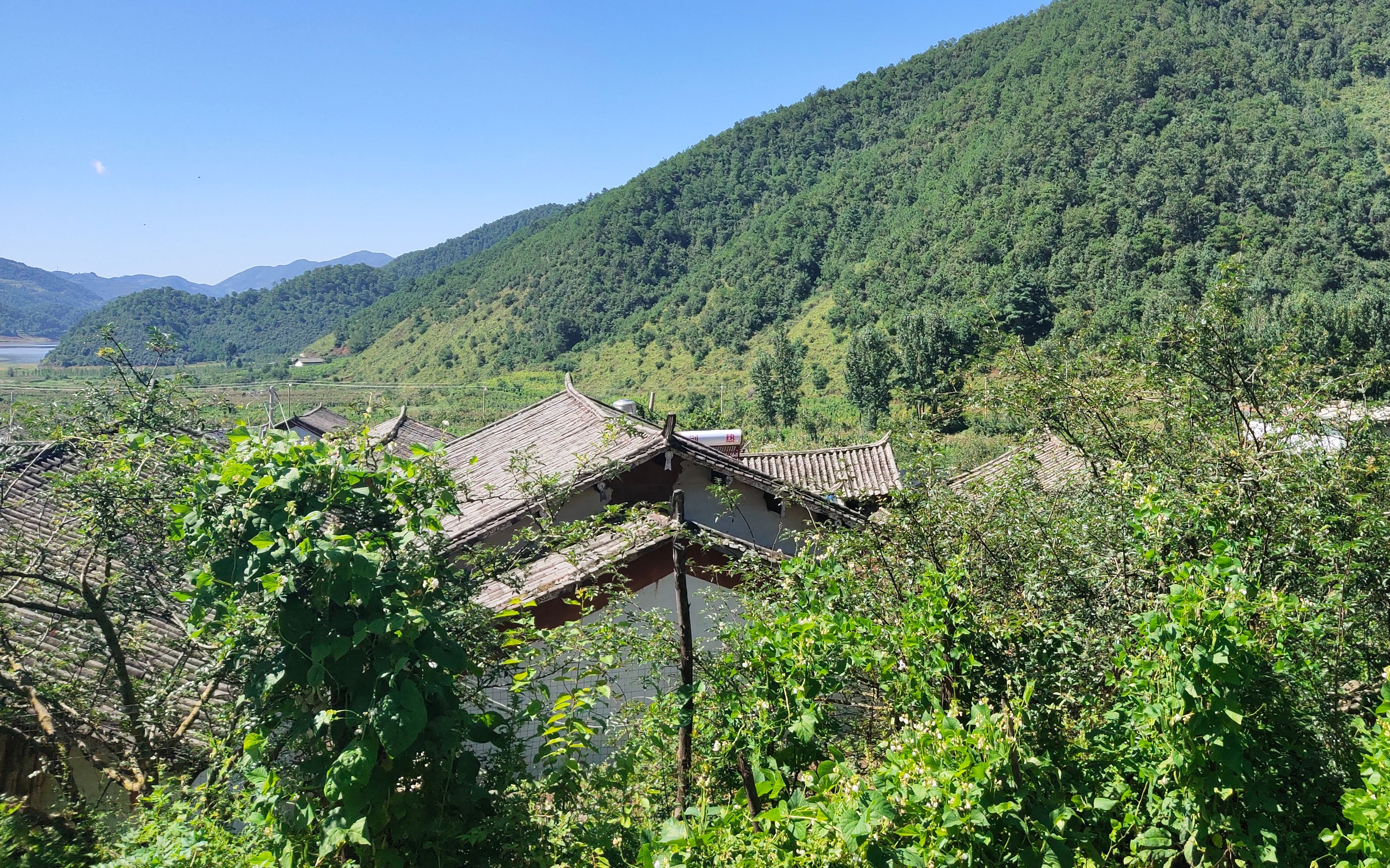 2岁男童、隐秘的山洞与一次未遂的拐卖计划