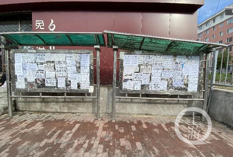 鹤岗房价再调查：购房热已退，2万元一套房子消失