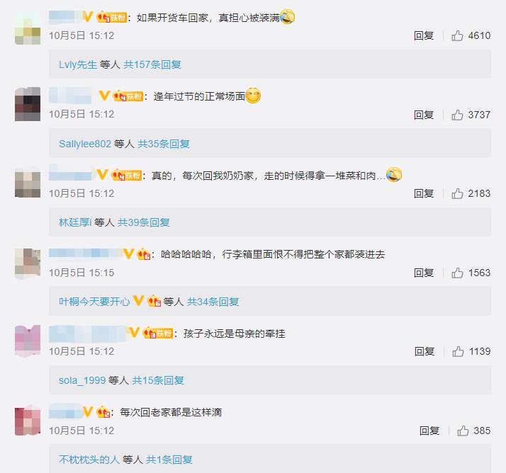 返程高峰开启，后备箱又被塞满了！副驾驶也没放过