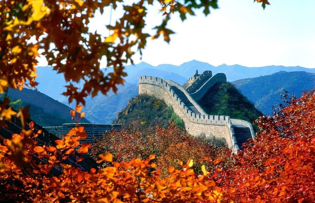 这里的秋天，美得不似人间，众多名人都来打卡