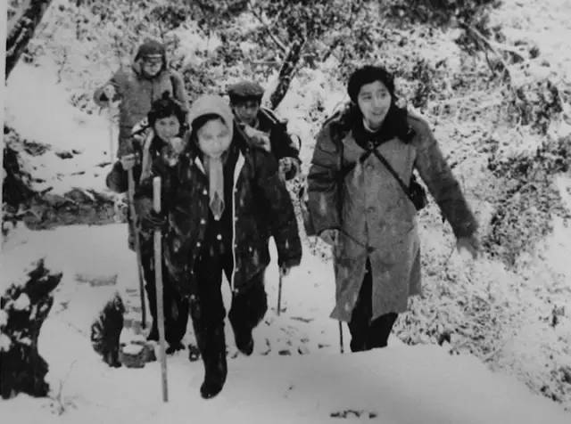 李诚儒：我不说真话就没人敢说，太可笑了