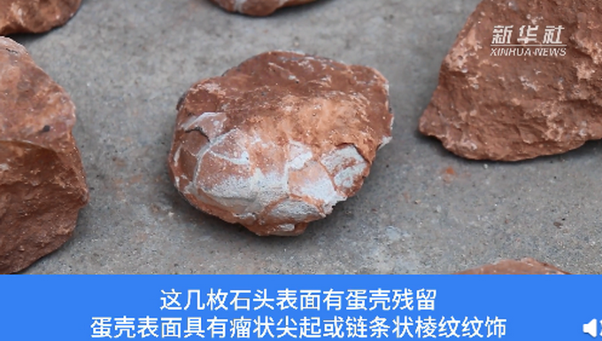 江西工地挖出6600万年前恐龙蛋化石究竟是怎么一回事图