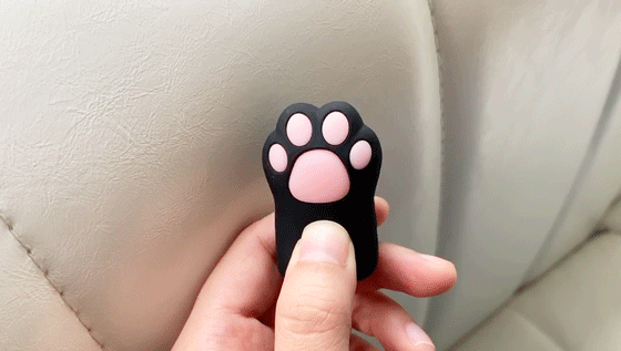 乌云踏雪猫95后最烧钱的五大爱好你占了几个