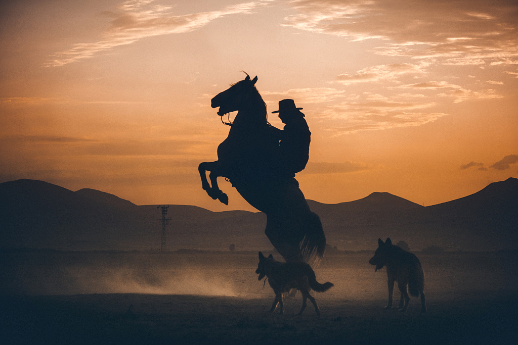 尘土飞扬土耳其骑手落日余晖中策马扬鞭尘土飞扬自带特效