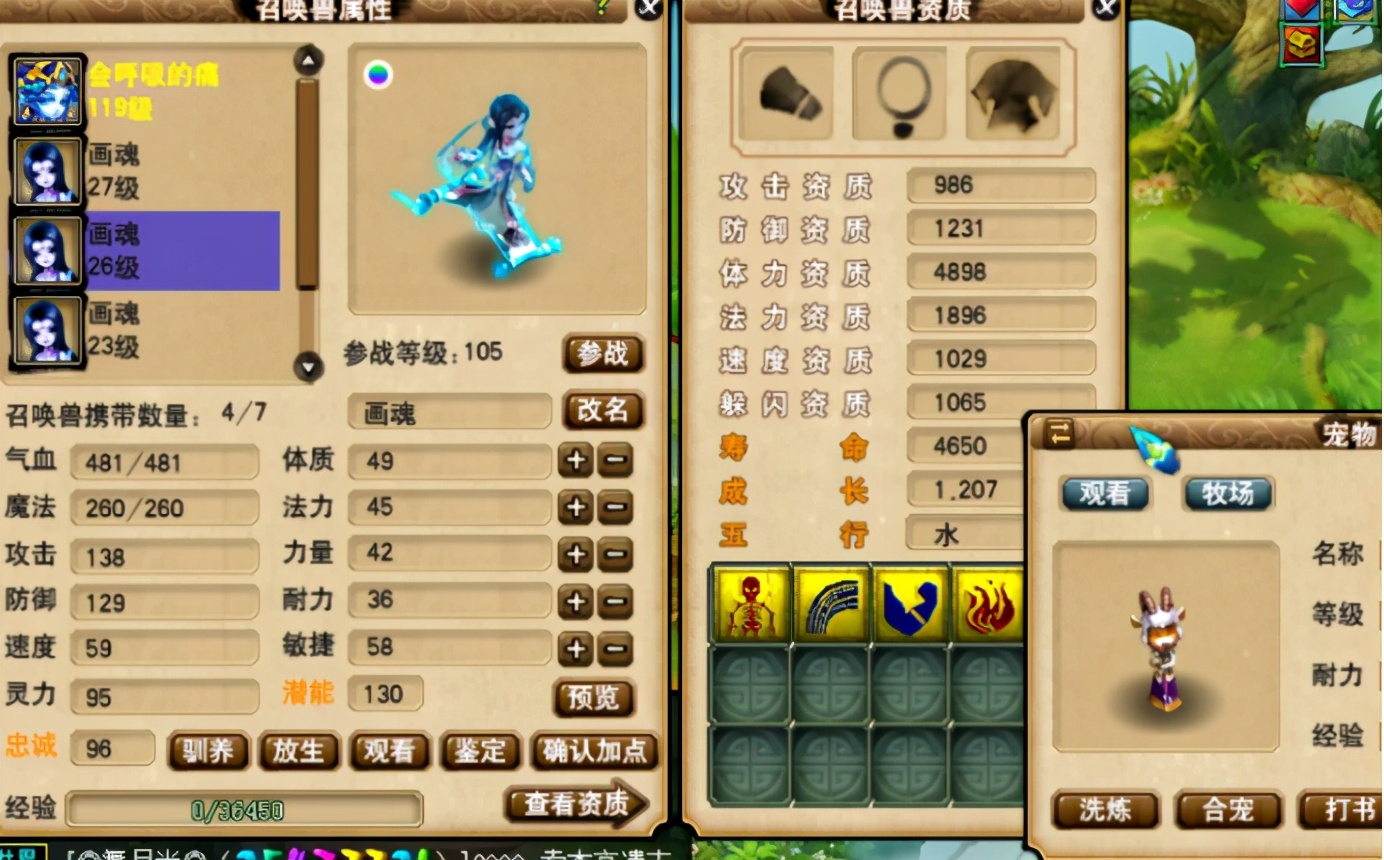 梦幻西游：玩家钟情于净台妙谛画魂，三组低成本合宠，收获不错