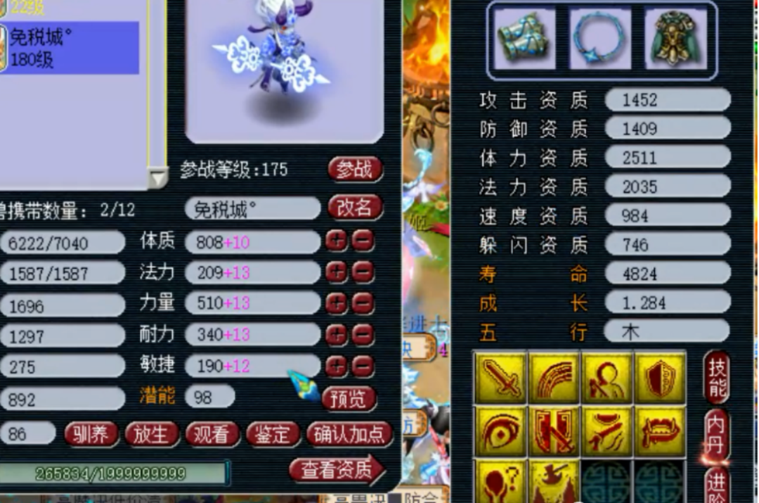 梦幻西游：神秘175高标准神木林，以后帮战横着走