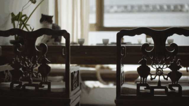 10个女友抱团进山，造出京郊一片超美野地