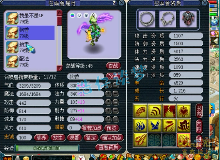 梦幻西游：妹子打造69普陀，无级别+4特技，颜值与实力并存